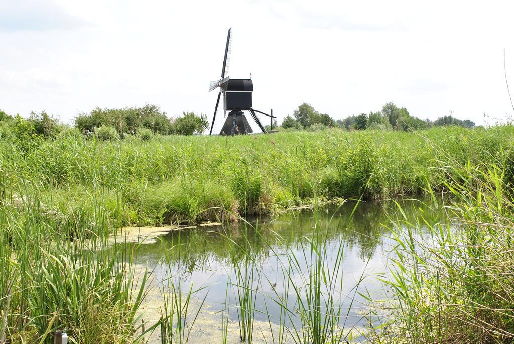 Villa Camping De Grienduil à Nieuwland  Extérieur photo